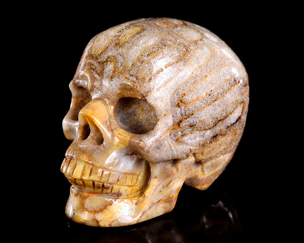 Natural Coral Jade Hand Carved Crystal Realistic Skull Sculpture