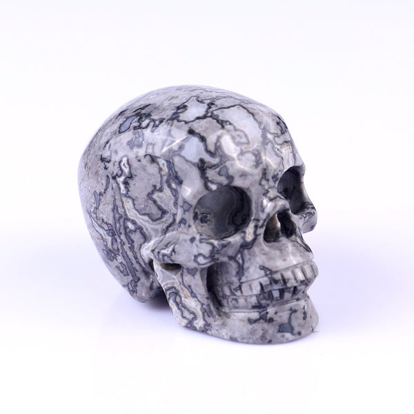 Natural Map Jasper Hand Carved Crystal Realistic Skull Sculpture