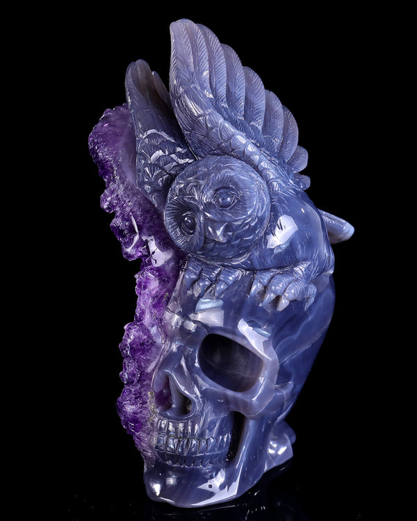 Unique 6.9" Amethyst Druse Agate Hand Carved Crystal Skull and Owl Sculpture