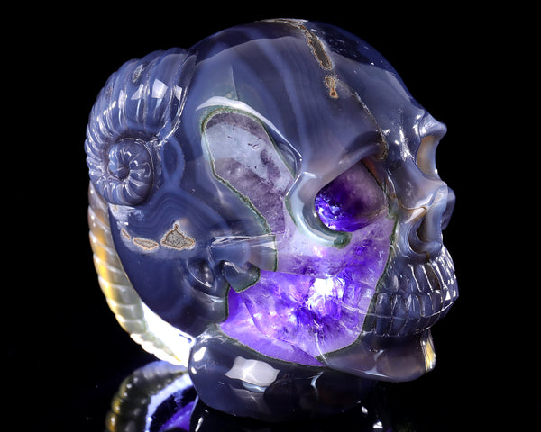 Unique 6.3" Amethyst Druse Agate Hand Carved Crystal Skull with Horn Sculpture