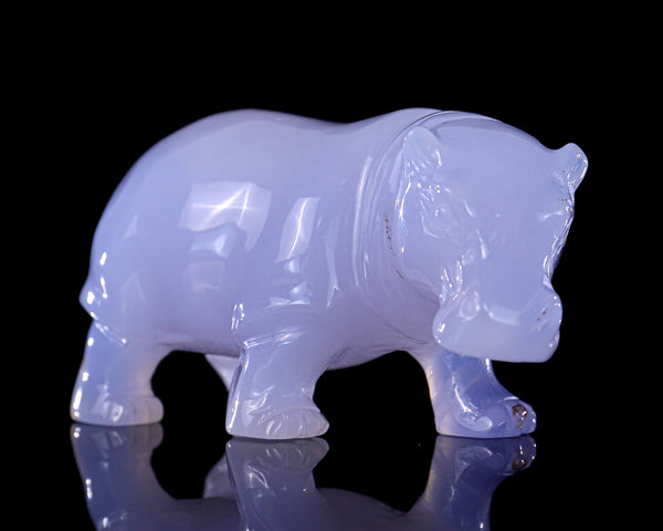 4" Blue Chalcedony Hand Carved Crystal Hippo Sculpture