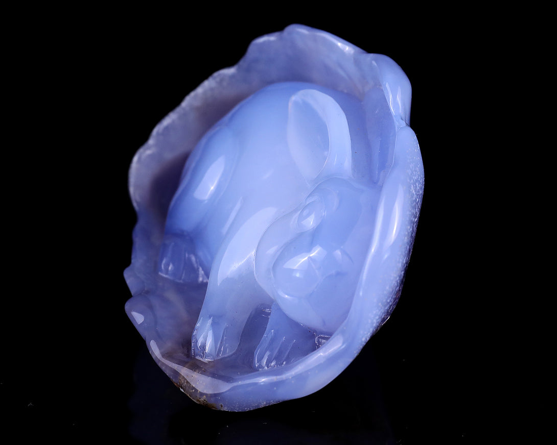 5.0" Blue Chalcedony Hand Carved Crystal Rabbit Sculpture crysvibe