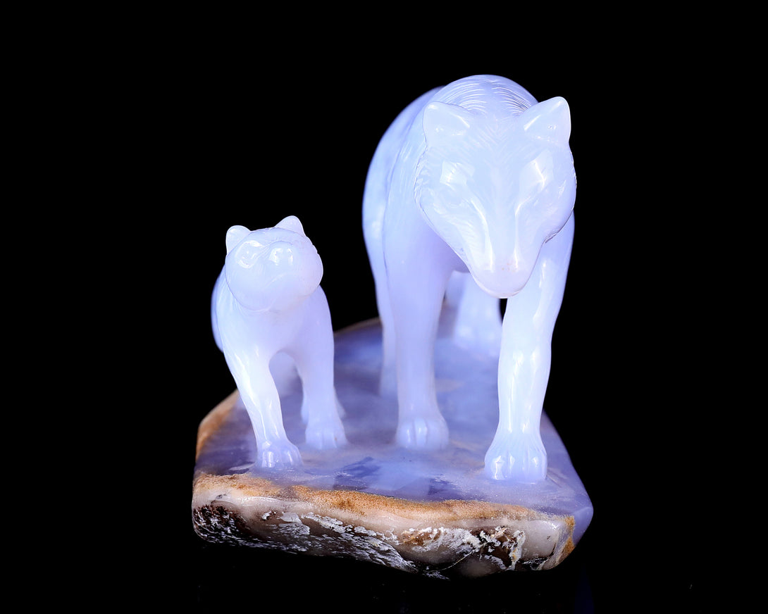 5.0" Blue Chalcedony Hand Carved Crystal Wolves Sculpture crysvibe