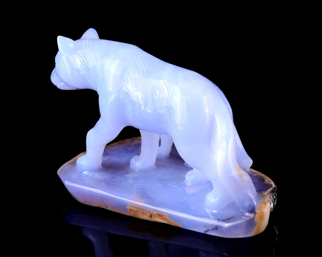 5.0" Blue Chalcedony Hand Carved Crystal Wolves Sculpture crysvibe