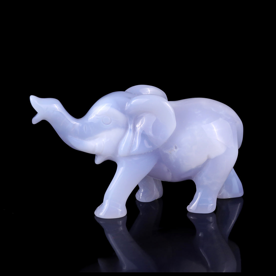 5.3" Blue Chalcedony Hand Carved Crystal Elephant Sculpture crysvibe