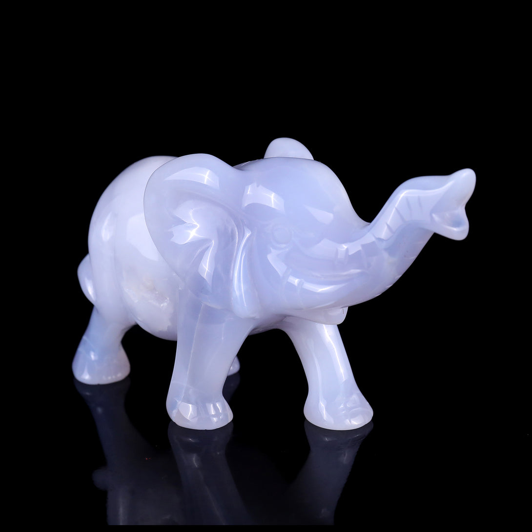 5.3" Blue Chalcedony Hand Carved Crystal Elephant Sculpture crysvibe