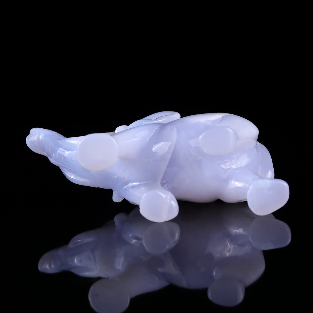 5.3" Blue Chalcedony Hand Carved Crystal Elephant Sculpture crysvibe