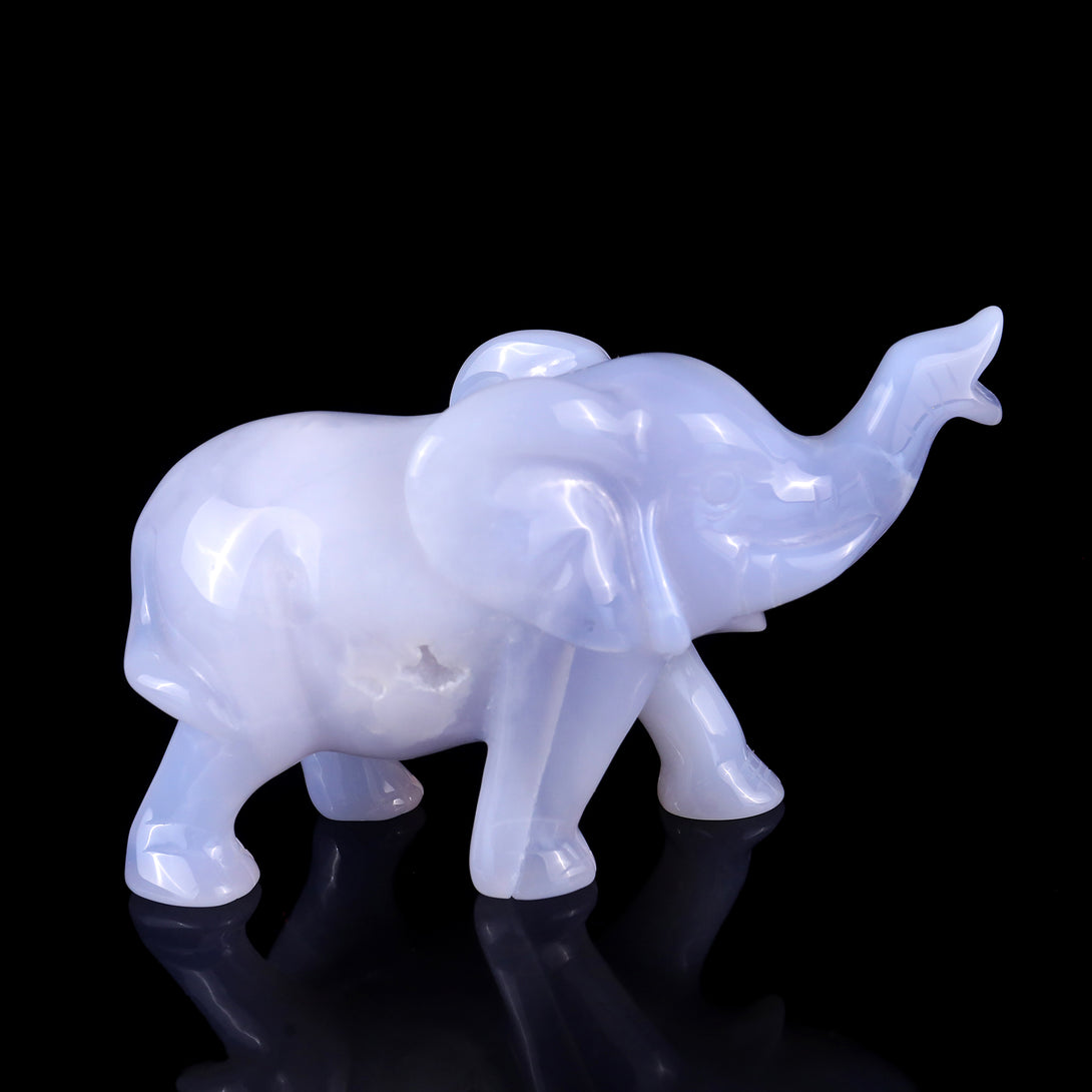 5.3" Blue Chalcedony Hand Carved Crystal Elephant Sculpture crysvibe