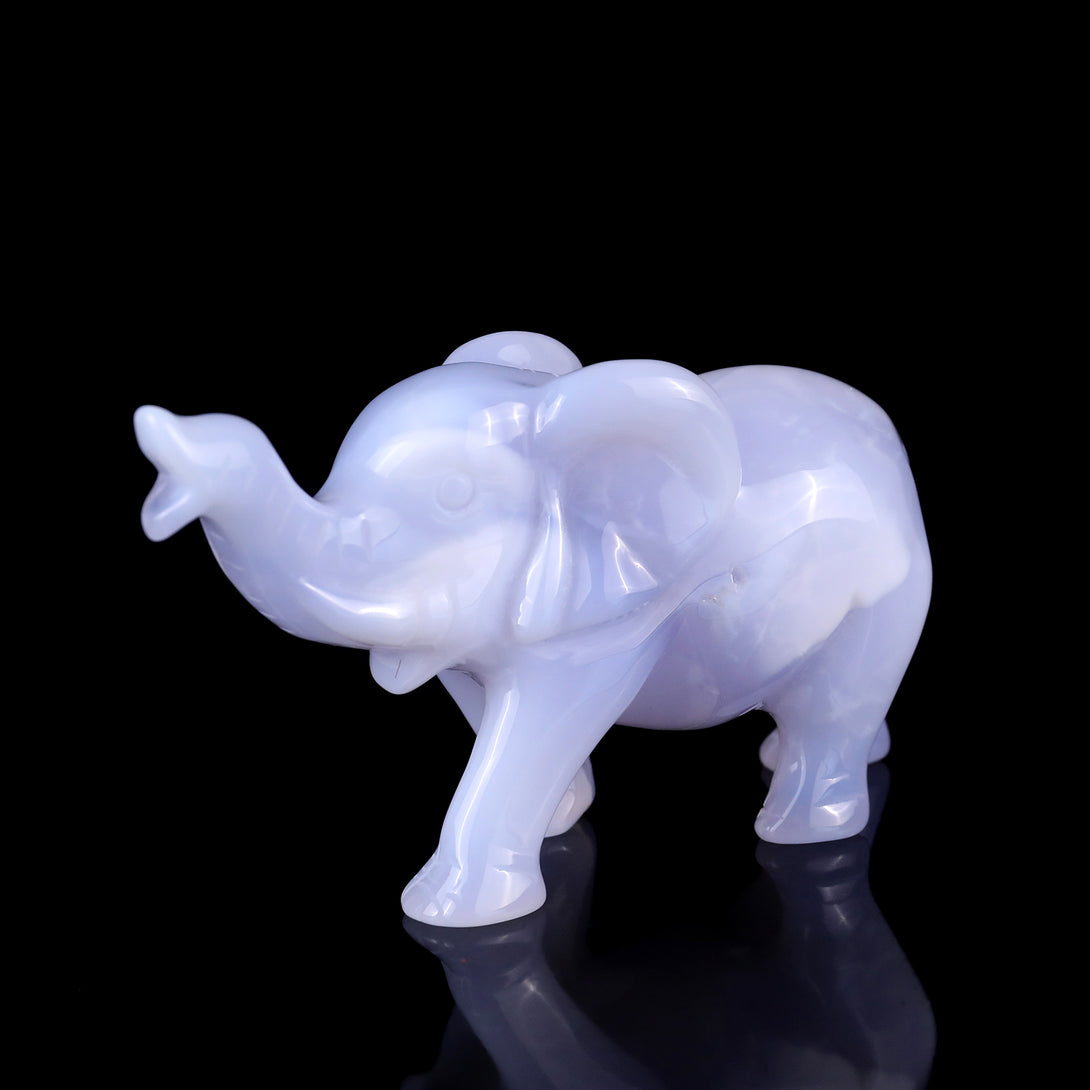 5.3" Blue Chalcedony Hand Carved Crystal Elephant Sculpture crysvibe