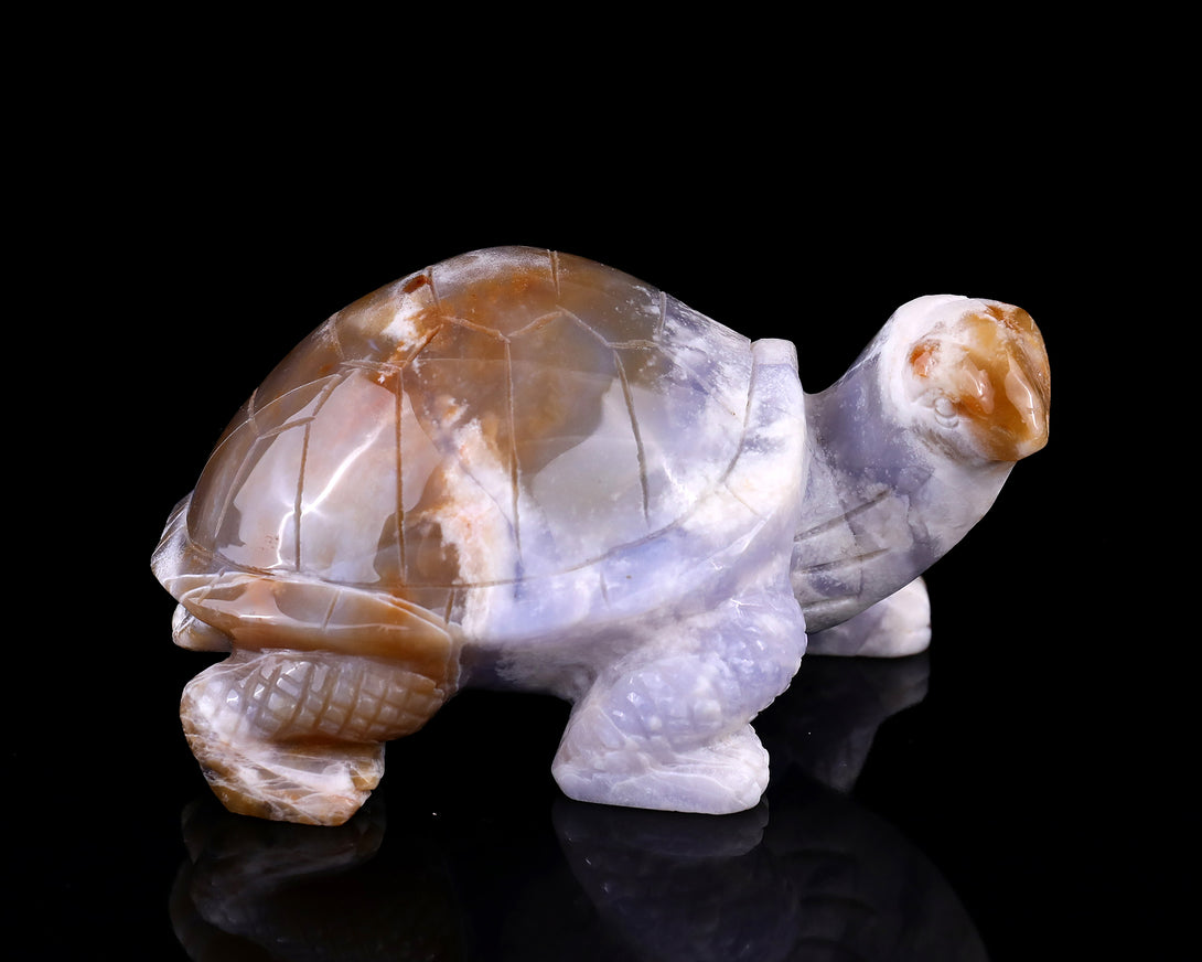 5.7" Blue Chalcedony Hand Carved Crystal Turtle Sculpture crysvibe