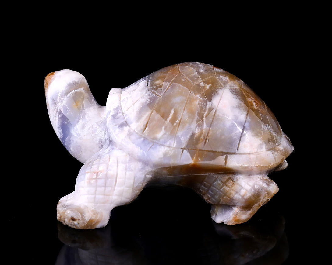 5.7" Blue Chalcedony Hand Carved Crystal Turtle Sculpture crysvibe