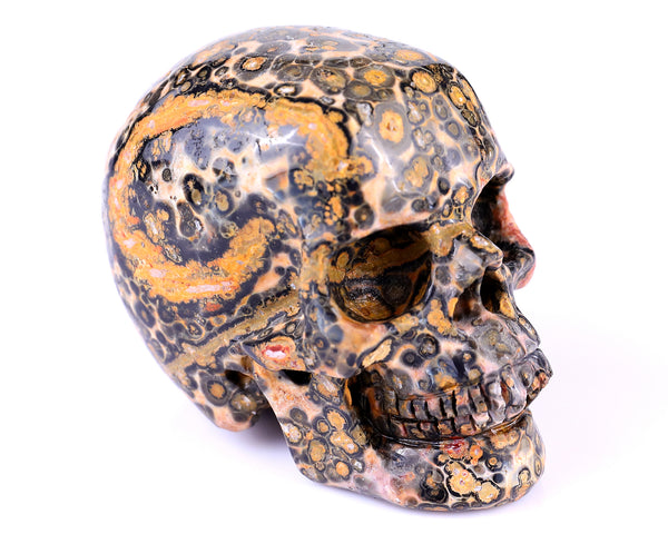Natural Red Leopard Skin Jasper Hand Carved Crystal Realistic Skull Sculpture