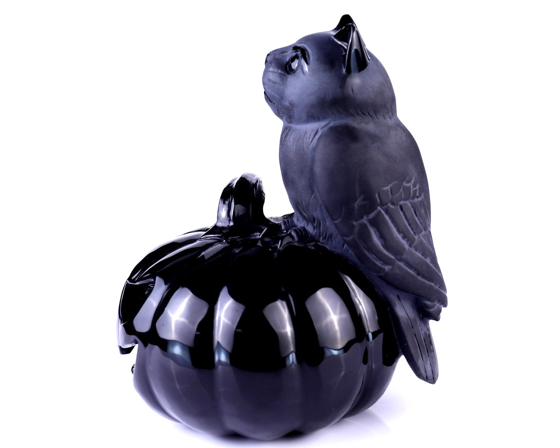 6.4" Black Obsidian Hand Carved Crystal Pumpkin and Owl Sculpture, Halloween Gift crysvibe