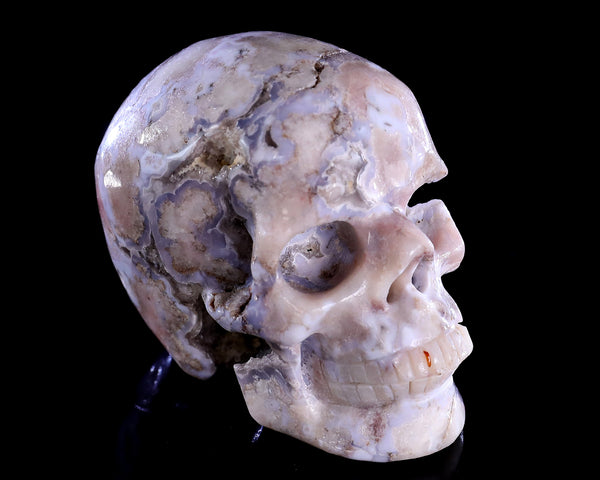 Natural Blue Sakura Agate Hand Carved Crystal Realistic Skull Sculpture
