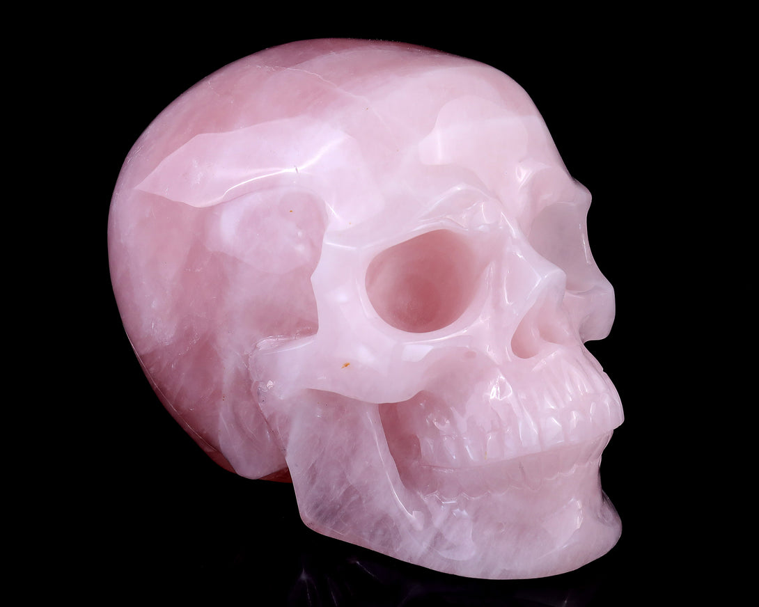 7.7" Rose Quartz Hand Carved Crystal Realistic Skull Sculpture crysvibe